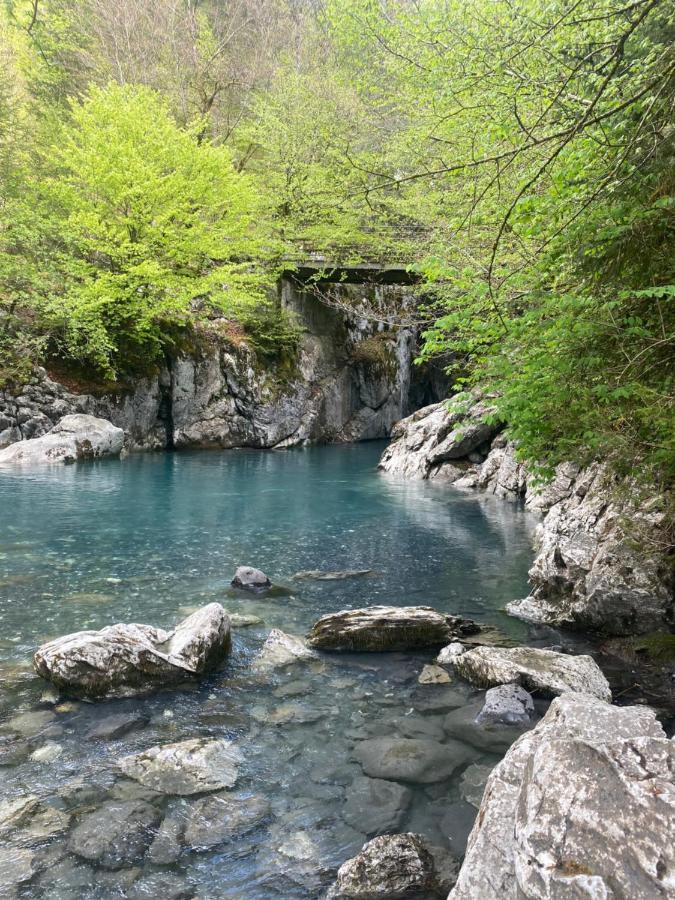 Appartement Rez-De-Chaussee, Cosy T3 4 A 6 Pers Avec Piscines Interieure & Exterieure A Samoens En Haute-Savoie Zewnętrze zdjęcie